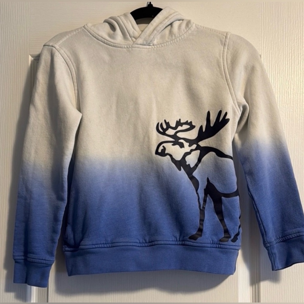 Abercrombie Kids Blue and White Gradient Sweater